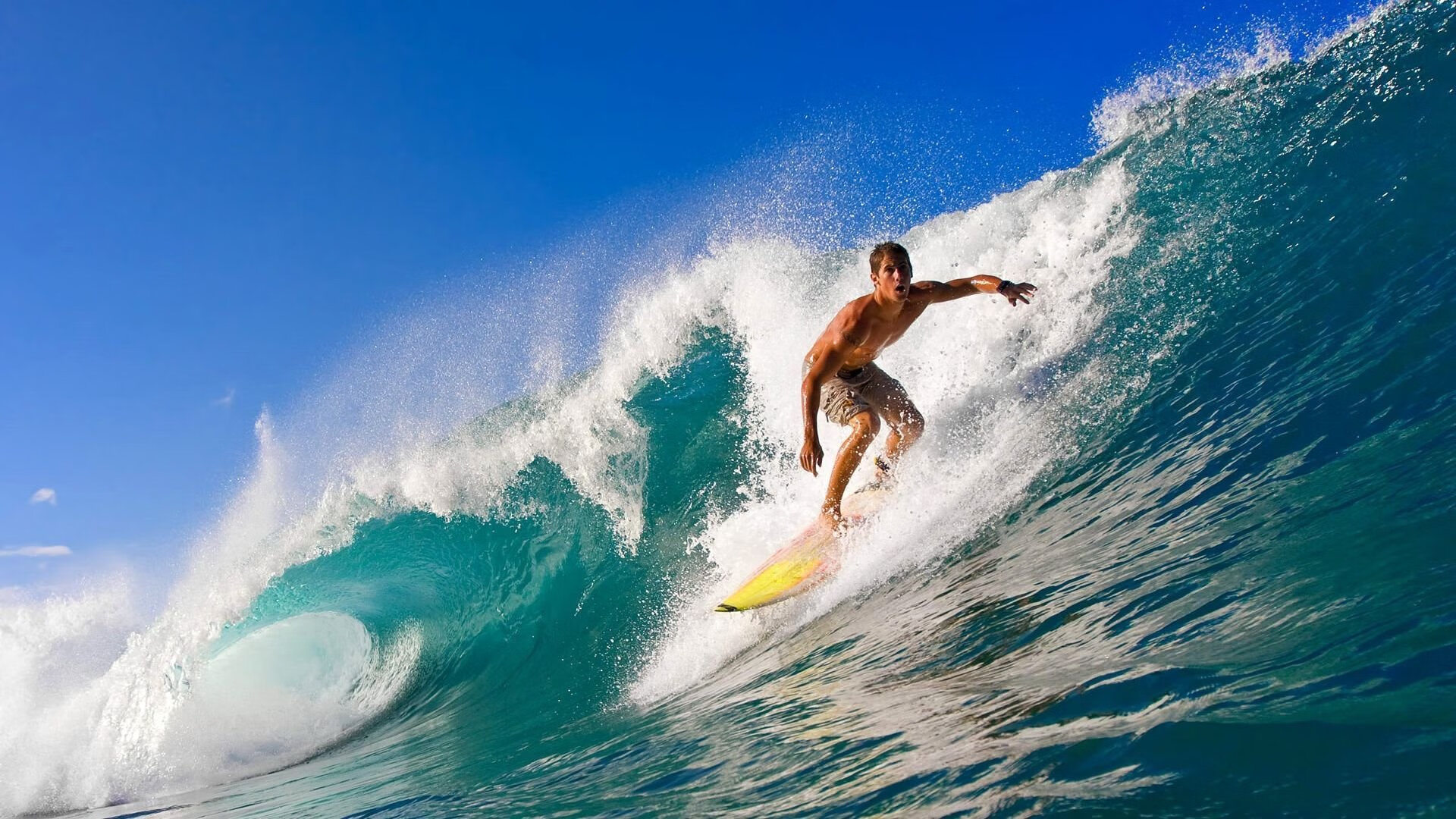 “高科技青训体系助推运动员突破极限——从量化分析到个性化培养路径”